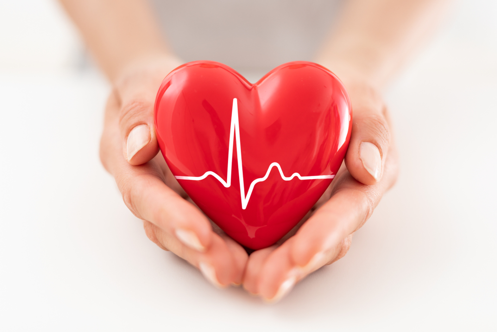 The woman is holding a red heart with heartbeat